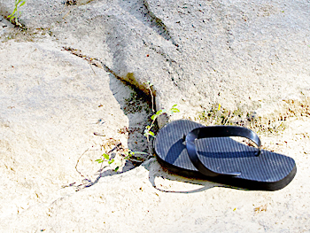 Flip Flop - from the series: Postcards from the AnthropoScenic Byway